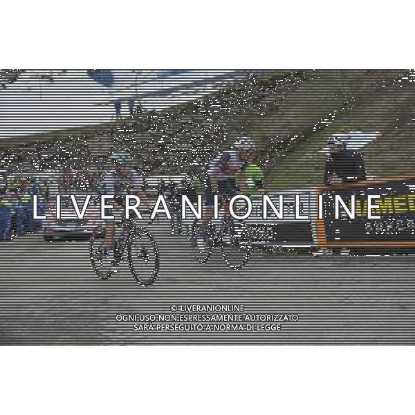22-05-2021 Giro D\'italia; Tappa 14 Cittadella - Monte Zoncolan; 2021, Bora - Hansgrohe; 2021, Trek - Segafredo; Fabbro, Matteo; Nibali, Vincenzo; Monte Zoncolan; ©SIROTTI/AG. ALDO LIVERANI SAS
