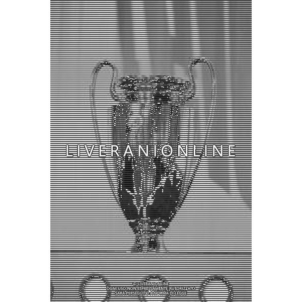 GIOCATORI DELLA SQUADRA DEL MILAN VINCITORE DELLA CHAMPIONS LEAGUE OSPITI A TELEMIKE 1988-1989 NELLA FOTO IL TROFEO, LA COPPA ©Archivio Giovanni Liverani/AGENZIA ALDO LIVERANI SAS