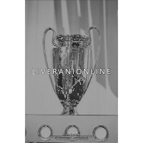 GIOCATORI DELLA SQUADRA DEL MILAN VINCITORE DELLA CHAMPIONS LEAGUE OSPITI A TELEMIKE 1988-1989 NELLA FOTO IL TROFEO, LA COPPA ©Archivio Giovanni Liverani/AGENZIA ALDO LIVERANI SAS