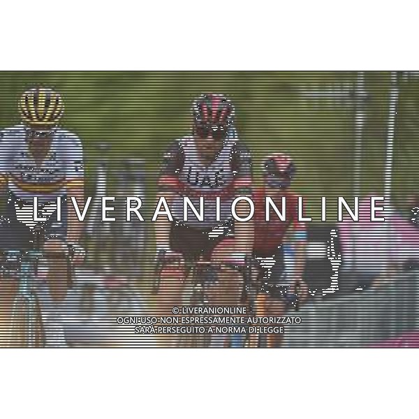 28-05-2021 Giro D\'italia; Tappa 19 Abbiategrasso - Alpe Di Mera; 2021, Uae - Emirates; Ulissi, Diego; Alpe Di Mera; ©SIROTTI / AGENZIA ALDO LIVERANI SAS