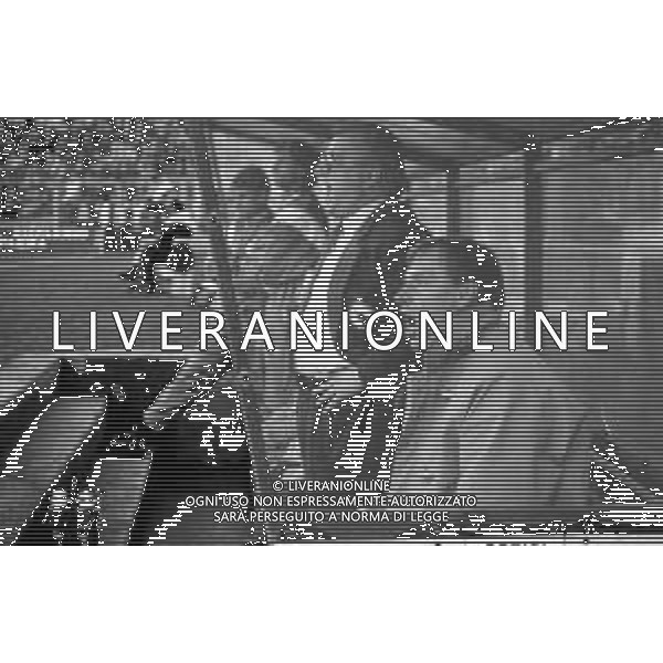 RETROSPETTIVA ZDENEK ZEMAN ALLENATORE DEL FOGGIA CAMPIONATO CALCIO SERIE A 1991-1992 ©Archivio Giovanni Liverani/AGENZIA ALDO LIVERANI SAS