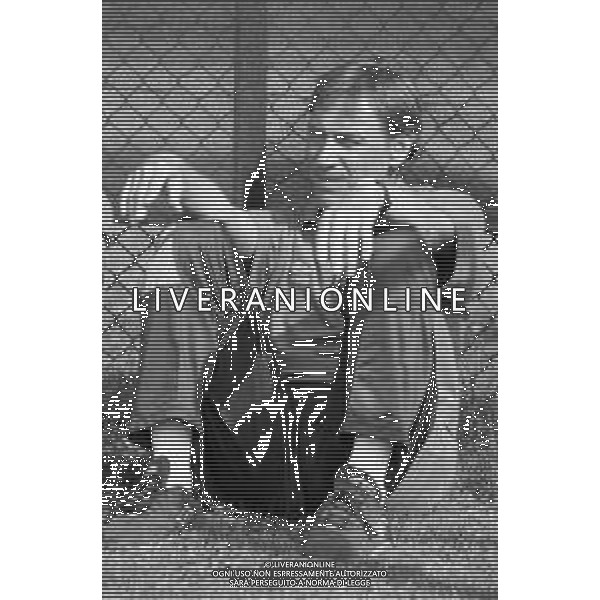 RETROSPETTIVA ZDENEK ZEMAN ALLENATORE DELLA LAZIO CAMPIONATO CALCIO SERIE A - 1995-1996 NELLA FOTO DURANTE UNA SEDUTA DI ALLENAMENTO ©Archivio Giovanni Liverani/AGENZIA ALDO LIVERANI SAS
