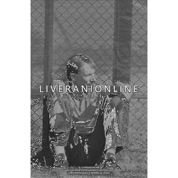 RETROSPETTIVA ZDENEK ZEMAN ALLENATORE DELLA LAZIO CAMPIONATO CALCIO SERIE A - 1995-1996 NELLA FOTO DURANTE UNA SEDUTA DI ALLENAMENTO ©Archivio Giovanni Liverani/AGENZIA ALDO LIVERANI SAS