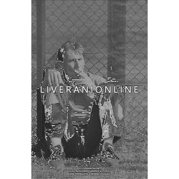 RETROSPETTIVA ZDENEK ZEMAN ALLENATORE DELLA LAZIO CAMPIONATO CALCIO SERIE A - 1995-1996 NELLA FOTO DURANTE UNA SEDUTA DI ALLENAMENTO ©Archivio Giovanni Liverani/AGENZIA ALDO LIVERANI SAS