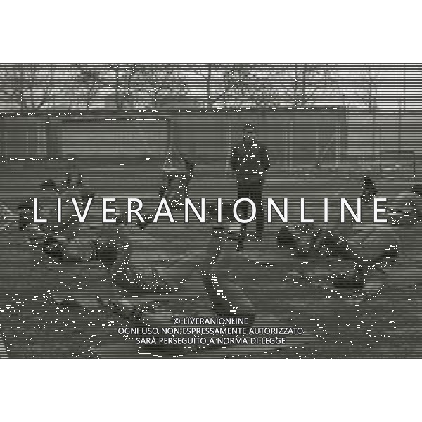 1972 CESENA-ALLENAMENTO CESENA CALCIO NELLA FOTO LUIGI RADICE ALLENATORE CESENA CALCIO AG ALDO LIVERANI SAS