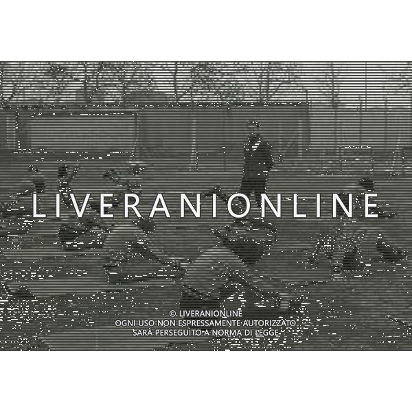 1972 CESENA-ALLENAMENTO CESENA CALCIO NELLA FOTO LUIGI RADICE ALLENATORE CESENA CALCIO AG ALDO LIVERANI SAS