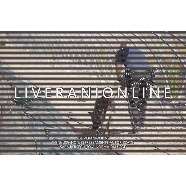 CONTINUANO LE RICERCHE CON L\'UNITA\' CINOFILA DEI CARABINIERI DELLA RAGAZZA PAKISTANA SAMAN ABBAS SCOMPARSA DA NOVELLARA REGGIO EMILIA 24.06.2021 ©SANTANDREA/AGENZIA ALDO LIVERANI SAS