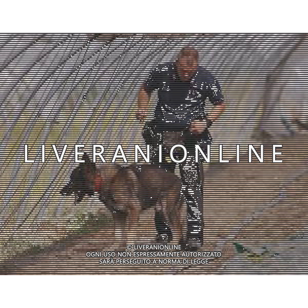 CONTINUANO LE RICERCHE CON L\'UNITA\' CINOFILA DEI CARABINIERI DELLA RAGAZZA PAKISTANA SAMAN ABBAS SCOMPARSA DA NOVELLARA REGGIO EMILIA 24.06.2021 ©SANTANDREA/AGENZIA ALDO LIVERANI SAS
