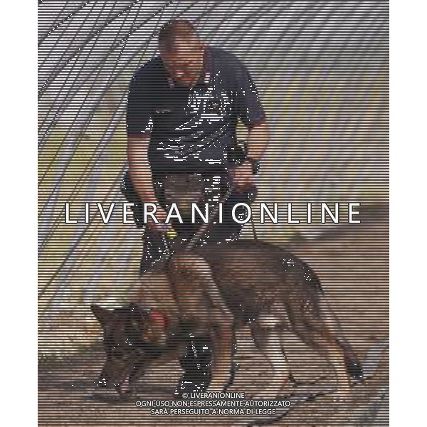 CONTINUANO LE RICERCHE CON L\'UNITA\' CINOFILA DEI CARABINIERI DELLA RAGAZZA PAKISTANA SAMAN ABBAS SCOMPARSA DA NOVELLARA REGGIO EMILIA 24.06.2021 ©SANTANDREA/AGENZIA ALDO LIVERANI SAS