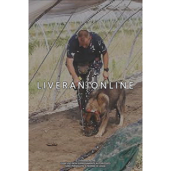 CONTINUANO LE RICERCHE CON L\'UNITA\' CINOFILA DEI CARABINIERI DELLA RAGAZZA PAKISTANA SAMAN ABBAS SCOMPARSA DA NOVELLARA REGGIO EMILIA 24.06.2021 ©SANTANDREA/AGENZIA ALDO LIVERANI SAS