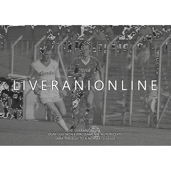 25-09-1983 COMO-CAMPIONATO DI CALCIO SEIEA COMO-PADOVA 1-0 NELLA FOTO MARINO PALESE AG ALDO LIVERANI SAS