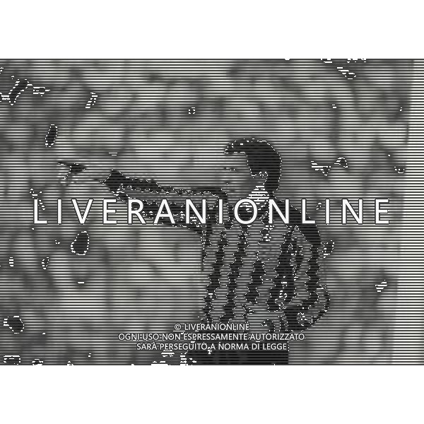 RETROSPETTIVA PETER SHILTON CALCIATORE NELLA FOTO PETER SHILTON CON LA MAGLIA DELL\' INGHILTERRA AI MONDIALI ITALIA 1990 AG ALDO LIVERANI SAS