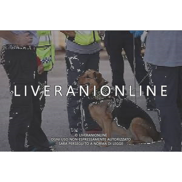 TERMINATE LE RICERCHE DEL CORPO DELLA RAGAZZA PAKISTANA SAMAN ABBAS CON I CANI DEI VOLONTARI PROVENIENTI DALLA SVIZZERA, NOVELLARA REGGIO EMILIA 27.06.2021 ©SANTANDREA/AGENZIA ALDO LIVERANI SAS