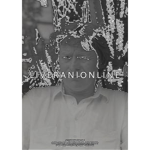 RETROSPETTIVA ALAN WILLIAM PARKER REGISTA SCENEGGIATORE E PRODUTTORE CINEMATOGRAFICO NELLA FOTO ALAN PARKER A CANNES NELL\'ANNO 1983 AG ALDO LIVERANI SAS