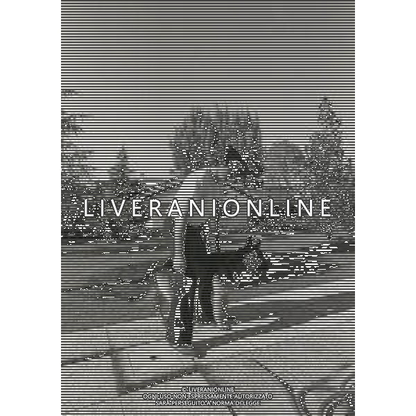 RETROSPETTIVA ENZO FERRARI ALLENATORE CALCIO NELLA FOTO ENZO FERRARI ALLENATORE UDINESE NELL\'ANNO 1983-1984 AG ALDO LIVERANI SAS