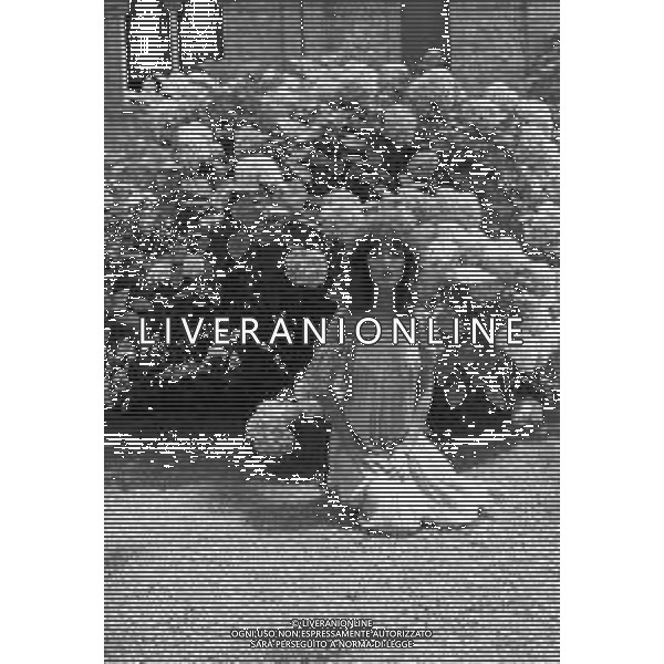 MARCELLA BELLA CANTANTE RETROSPETTIVA ANNI \'70 ©ARCHIVIO GIOVANNI LIVERANI/AG. ALDO LIVERANI SAS