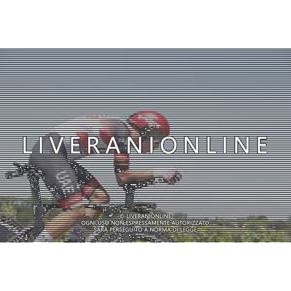 17-07-2021 Tour De France; Tappa 20 Libourne - Saint Emilion; 2021, Uae - Emirates; Faria Da Costa, Alberto Rui; ©SIROTTI/AGENZIA ALDO LIVERANI
