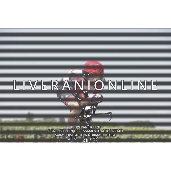 17-07-2021 Tour De France; Tappa 20 Libourne - Saint Emilion; 2021, Uae - Emirates; Bjerg, Mikkel; ©SIROTTI/AGENZIA ALDO LIVERANI
