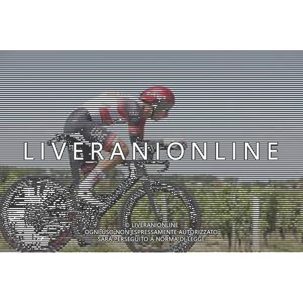 17-07-2021 Tour De France; Tappa 20 Libourne - Saint Emilion; 2021, Uae - Emirates; Formolo, Davide; ©SIROTTI/AGENZIA ALDO LIVERANI