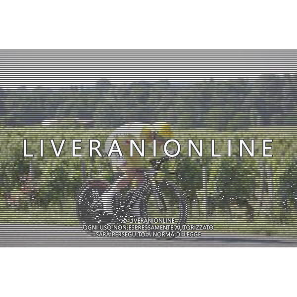 17-07-2021 Tour De France; Tappa 20 Libourne - Saint Emilion; 2021, Uae - Emirates; Pogacar, Tadej; ©SIROTTI/AGENZIA ALDO LIVERANI