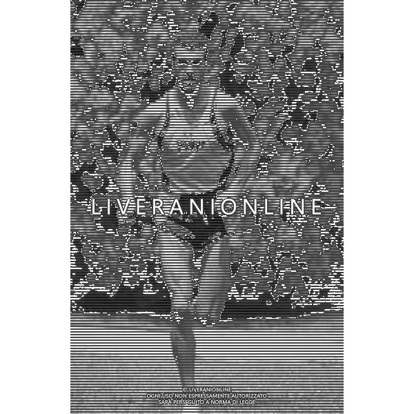 GELINDO BORDIN MARATONETA E CAMPIONE OLIMPICO - RETROSPETTIVA NELLA FOTO NEL 1992 - 1993 ©ARCHIVIO GIOVANNI LIVERANI/AGENZIA ALDO LIVERANI SAS