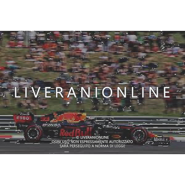 Max Verstappen (NLD) Red Bull Racing RB16B. 31.07.2021. Formula 1 World Championship, Rd 11, Hungarian Grand Prix, Budapest, Hungary, Qualifying Day. - www.xpbimages.com, EMail: requests@xpbimages.com © Copyright: Batchelor / XPB Images/AGENZIA ALDO LIVERANI SAS - ITALY ONLY - EDITORIAL USE ONLY