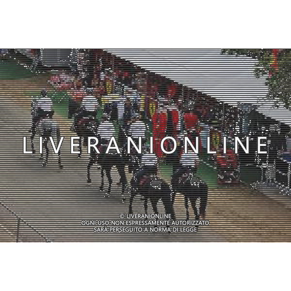 Circuit atmosphere - Police on horses. 01.08.2021. Formula 1 World Championship, Rd 11, Hungarian Grand Prix, Budapest, Hungary, Race Day. - www.xpbimages.com, EMail: requests@xpbimages.com © Copyright: Moy / XPB Images/AGENZIA ALDO LIVERANI SAS - ITALY ONLY EDITORIAL USE ONLY