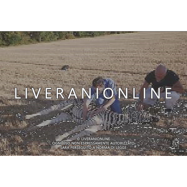 Morta la zebra Achille, un maschio di un anno scappata e in fuga per circa 24 ore nelle campagne in provincia di Reggio Emilia 06.08.2021 ©SANTANDREA/AGENZIA ALDO LIVERANI SAS