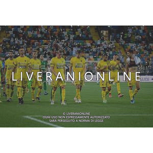 GriffoniE/LMedia - Trentaduesimi - Udinese vs Ascoli - Coppa Italia 2021/2022 13 agosto 2021 - Dacia Arena, Udine, Italia Nella foto: Delusione dei giocatori dell\'Ascoli Calcio dopo la sconfitta @GriffoniE/LMedia/AGENZIA ALDO LIVERANI SAS
