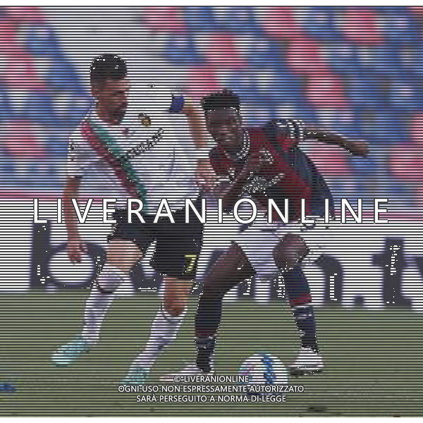 Bologna - Ternana Coppa Italia Tim Cup 16.08.2021 Nella foto : FEDERICO FURLAN E MBAYE IBRAHIMA ©SANTANDREA /AGENZIA ALDO LIVERANI SAS
