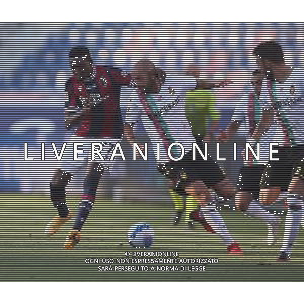 Bologna - Ternana Coppa Italia Tim Cup 16.08.2021 Nella foto : ANNAN EBENEZER E MATTIA PROIETTI ©SANTANDREA /AGENZIA ALDO LIVERANI SAS