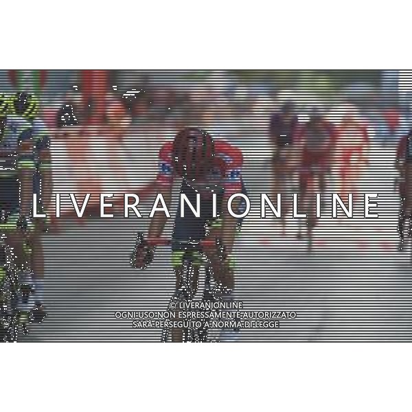 18-08-2021 Vuelta A Espana; Tappa 05 Tarancon - Albacete; 2021, Intermarche - Wanty Gobert; Taaramae, Rein; Albacete; ©SIROTTI/AGENZIA ALDO LIVERANI SAS