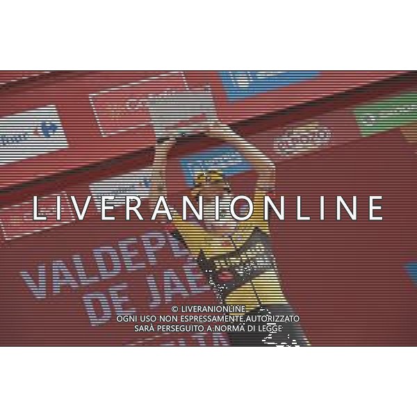 25-08-2021 Vuelta A Espana; Tappa 11 Antequera - Valdepenas De Jaen; 2021, Jumbo - Visma; Roglic, Primoz; Valdepenas De Jaen; FOTO STEFANO SIROTTI-AG ALDO LIVERANI SAS