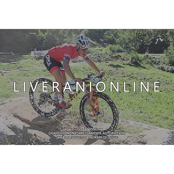 ¬© TVRG Matias Urzua Astorga (Cile) specialita\' Cross Country - gara maschile juniores UCI MTB World Championships 2021 Campionati del Mondo di Mountain Bike 25-29 agosto 2021 Val di Sole Daolasa di Commezzadura (TN) Centro sportivo BikeLand 26 agosto 2021 foto Roberto Garavaglia/ag. Aldo Liverani sas/ AGENZIA ALDO LIVERANI SAS
