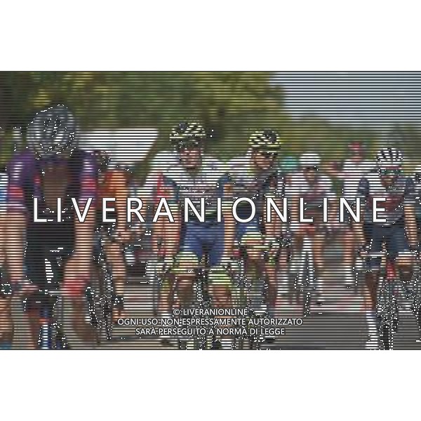 27-08-2021 Vuelta A Espana; Tappa 13 Belmez - Villanueva De La Serena; 2021, Intermarche - Wanty Gobert; Petilli, Simone; Villanueva De La Serena; ©SIROTTI / AGENZIA ALDO LIVERANI SAS