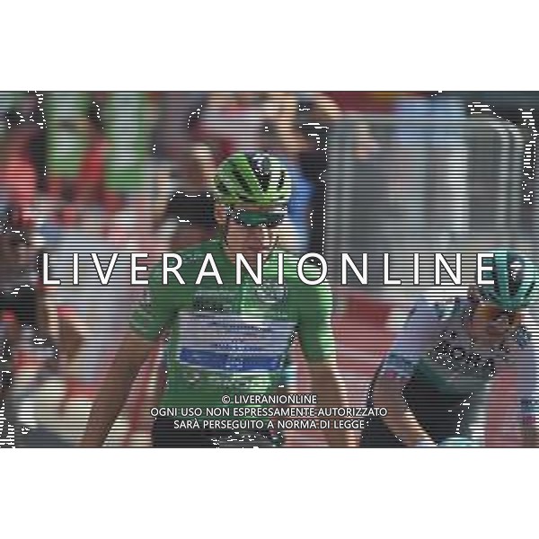 31-08-2021 Vuelta A Espana; Tappa 16 Laredo - Santa Cruz De Bezana; 2021, Deceuninck - Quick Step; Jakobsen, Fabio; Santa Cruz De Bezana; ©SIROTTI/AGENZIA ALDO LIVERANI SAS