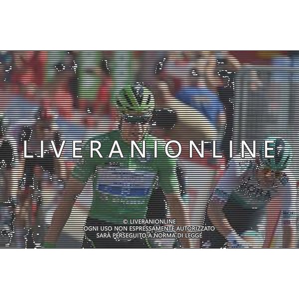 31-08-2021 Vuelta A Espana; Tappa 16 Laredo - Santa Cruz De Bezana; 2021, Deceuninck - Quick Step; Jakobsen, Fabio; Santa Cruz De Bezana; ©SIROTTI/AGENZIA ALDO LIVERANI SAS