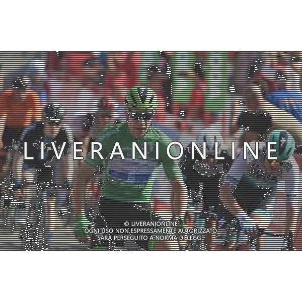31-08-2021 Vuelta A Espana; Tappa 16 Laredo - Santa Cruz De Bezana; 2021, Deceuninck - Quick Step; Jakobsen, Fabio; Santa Cruz De Bezana; ©SIROTTI/AGENZIA ALDO LIVERANI SAS