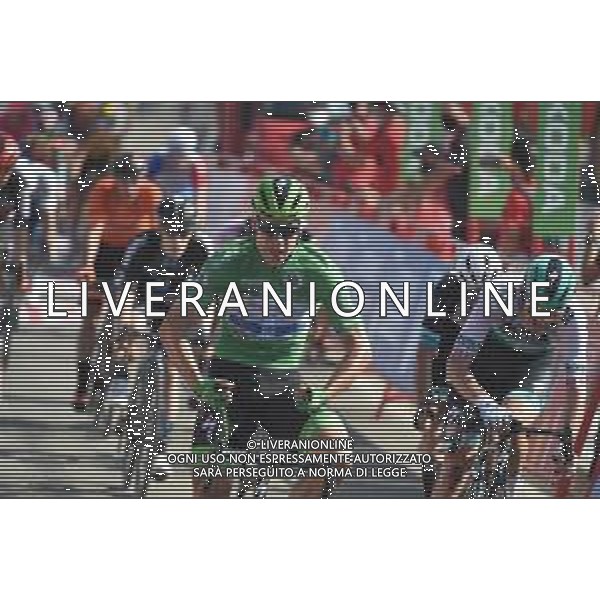 31-08-2021 Vuelta A Espana; Tappa 16 Laredo - Santa Cruz De Bezana; 2021, Deceuninck - Quick Step; Jakobsen, Fabio; Santa Cruz De Bezana; ©SIROTTI/AGENZIA ALDO LIVERANI SAS