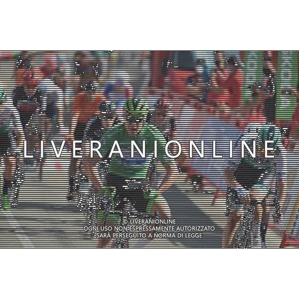 31-08-2021 Vuelta A Espana; Tappa 16 Laredo - Santa Cruz De Bezana; 2021, Deceuninck - Quick Step; Jakobsen, Fabio; Santa Cruz De Bezana; ©SIROTTI/AGENZIA ALDO LIVERANI SAS