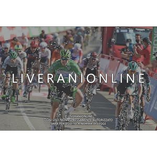 31-08-2021 Vuelta A Espana; Tappa 16 Laredo - Santa Cruz De Bezana; 2021, Deceuninck - Quick Step; Jakobsen, Fabio; Santa Cruz De Bezana; ©SIROTTI/AGENZIA ALDO LIVERANI SAS