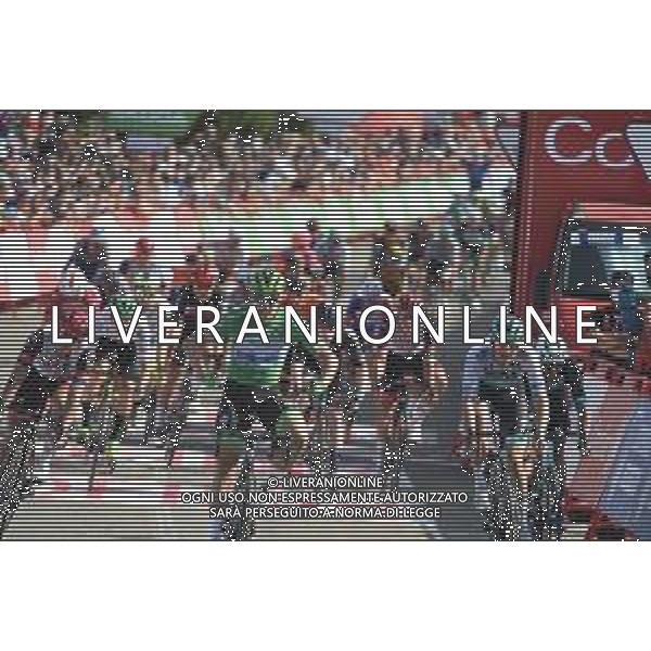 31-08-2021 Vuelta A Espana; Tappa 16 Laredo - Santa Cruz De Bezana; 2021, Deceuninck - Quick Step; 2021, Bora - Hansgrohe; 2021, Bikeexchange; 2021, Uae - Emirates; Jakobsen, Fabio; Meeus, Jordi; Matthews, Michael; Trentin, Matteo; Santa Cruz De Bezana; ©SIROTTI/AGENZIA ALDO LIVERANI SAS