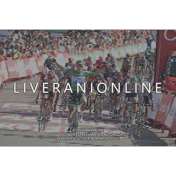 31-08-2021 Vuelta A Espana; Tappa 16 Laredo - Santa Cruz De Bezana; 2021, Deceuninck - Quick Step; 2021, Bora - Hansgrohe; 2021, Bikeexchange; 2021, Uae - Emirates; Jakobsen, Fabio; Meeus, Jordi; Matthews, Michael; Trentin, Matteo; Santa Cruz De Bezana; ©SIROTTI/AGENZIA ALDO LIVERANI SAS