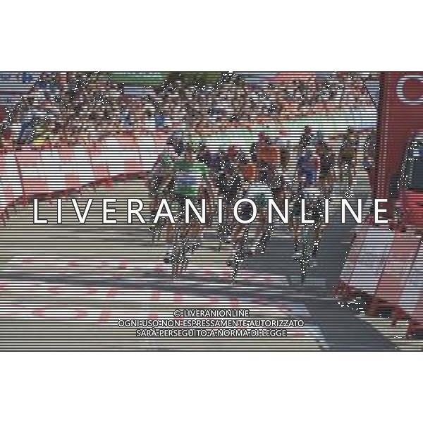 31-08-2021 Vuelta A Espana; Tappa 16 Laredo - Santa Cruz De Bezana; 2021, Deceuninck - Quick Step; 2021, Bora - Hansgrohe; 2021, Bikeexchange; Jakobsen, Fabio; Meeus, Jordi; Matthews, Michael; Santa Cruz De Bezana; ©SIROTTI/AGENZIA ALDO LIVERANI SAS