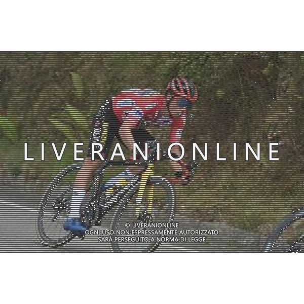 03-09-2021 Vuelta A Espana; Tappa 19 Tapia - Monforte De Lemos; 2021, Jumbo - Visma; Roglic, Primoz; FOTO STEFANO SIROTTI-AG ALDO LIVERANI SAS