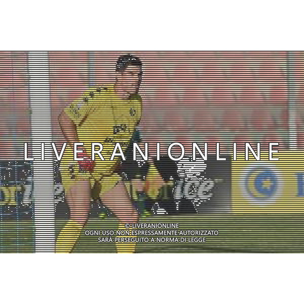 GiannettoniV/LMedia - Messina vs Palermo - Campionato di Calcio Serie C - Lega Pro 2021/2022 04 settembre 2021 - Stadio Luigi Razza , Vibo Valentia , Italia Nella foto: PELAGOTTI ALBERTO PALERMO @GiannettoniV/LMedia/AGENZIA ALDO LIVERANI SAS