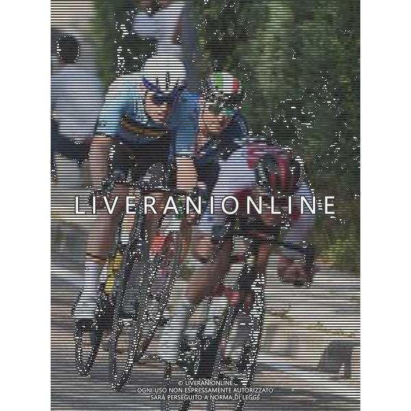 12-09-2021 European Championships Elite; 2021, Bahrain - Victorious; Colbrelli, Sonny; Povo; FOTO STEFANO SIROTTI-AG ALDO LIVERANI SAS