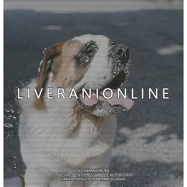 CANE SAN BERNARDO AG ALDO LIVERANI SAS