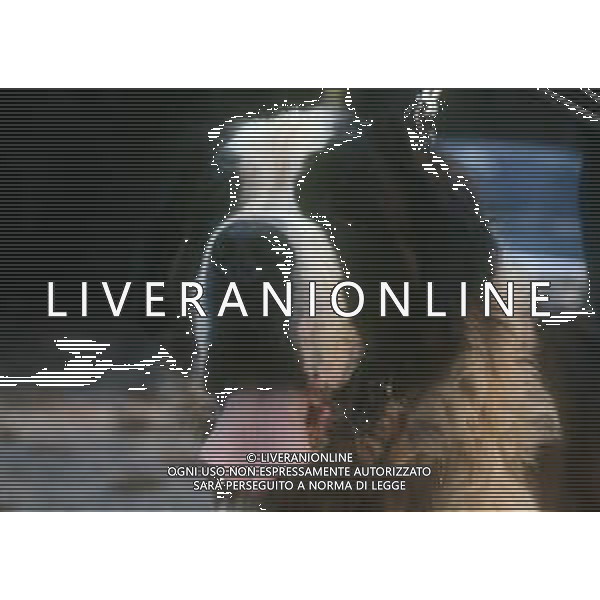 CANE SAN BERNARDO AG ALDO LIVERANI SAS