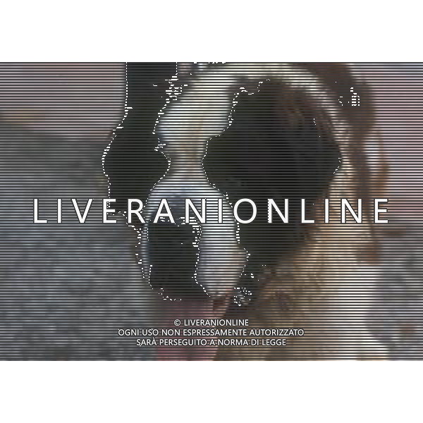 CANE SAN BERNARDO AG ALDO LIVERANI SAS